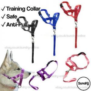 Posh & Perfect  כלבים / dog Training Dog Collar Anti-Pull No Pulling Head Collar Harness Walking Pet Control